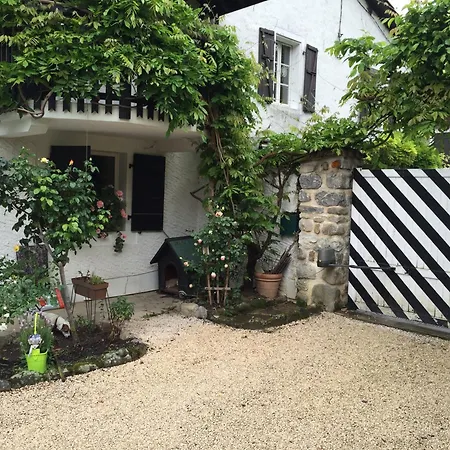 L'arbre Aux Papillons *
