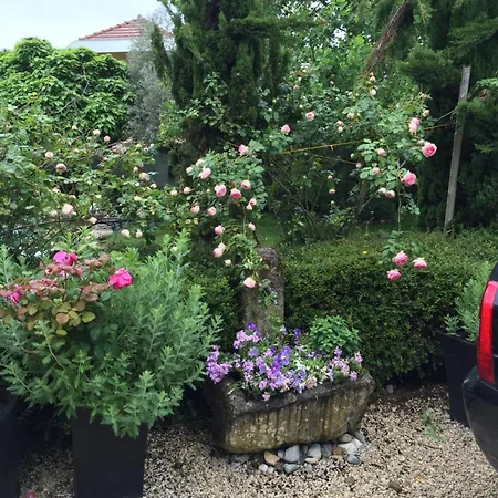 Privat bolig L'arbre Aux Papillons *